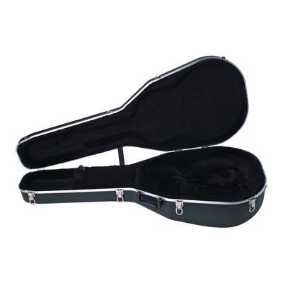 Ovation 8158 Case