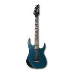 Ibanez RG270DX SG