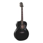 Takamine EG451DLX BK